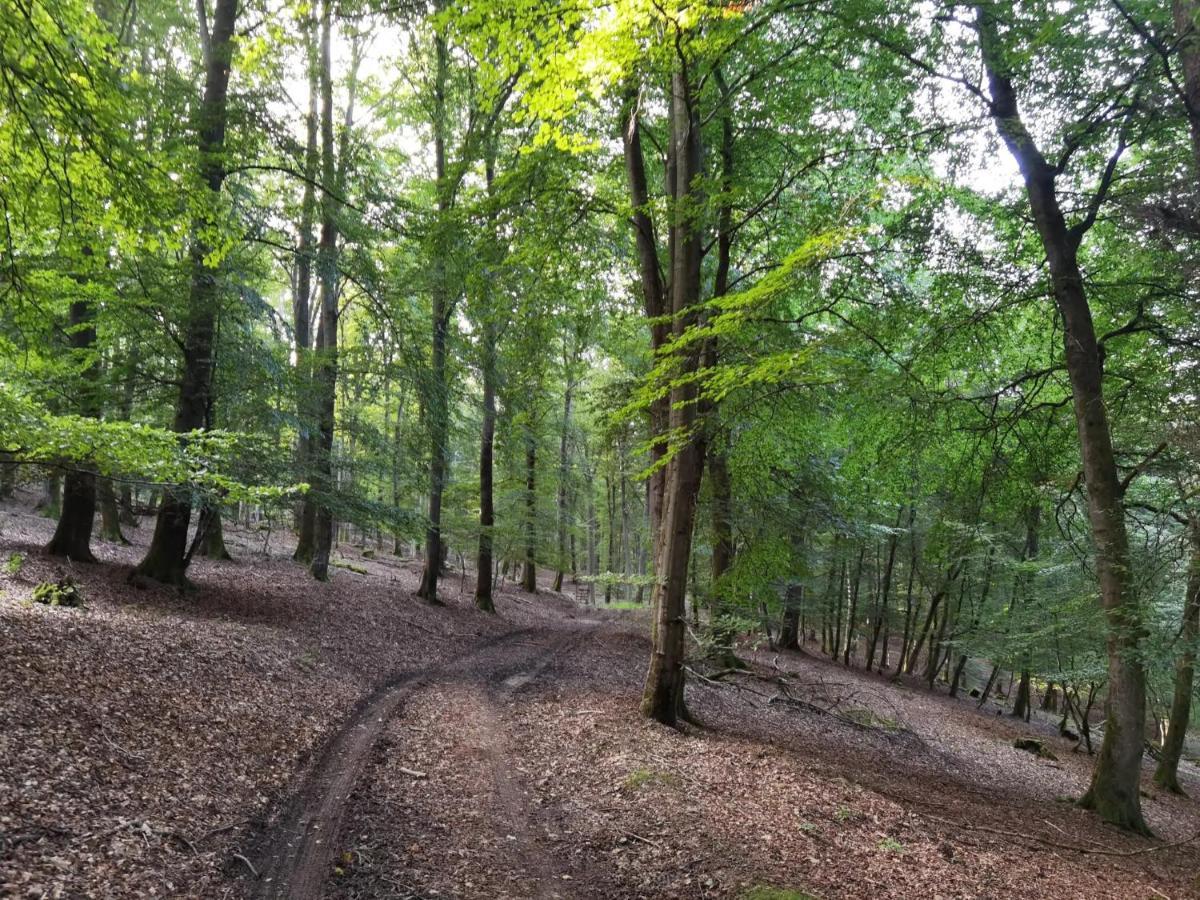 Ferienwohnung Hockertz Habscheid Buitenkant foto